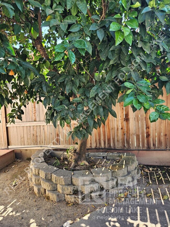 Building Photo - COMING SOON!!!  4bd 2ba home in Folsom