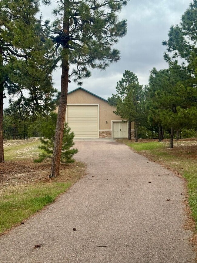 Building Photo - Beautiful home in Black Forest on 2.5 acres