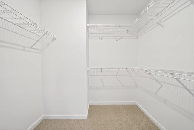 Building Photo - 1036 Monticello Pl