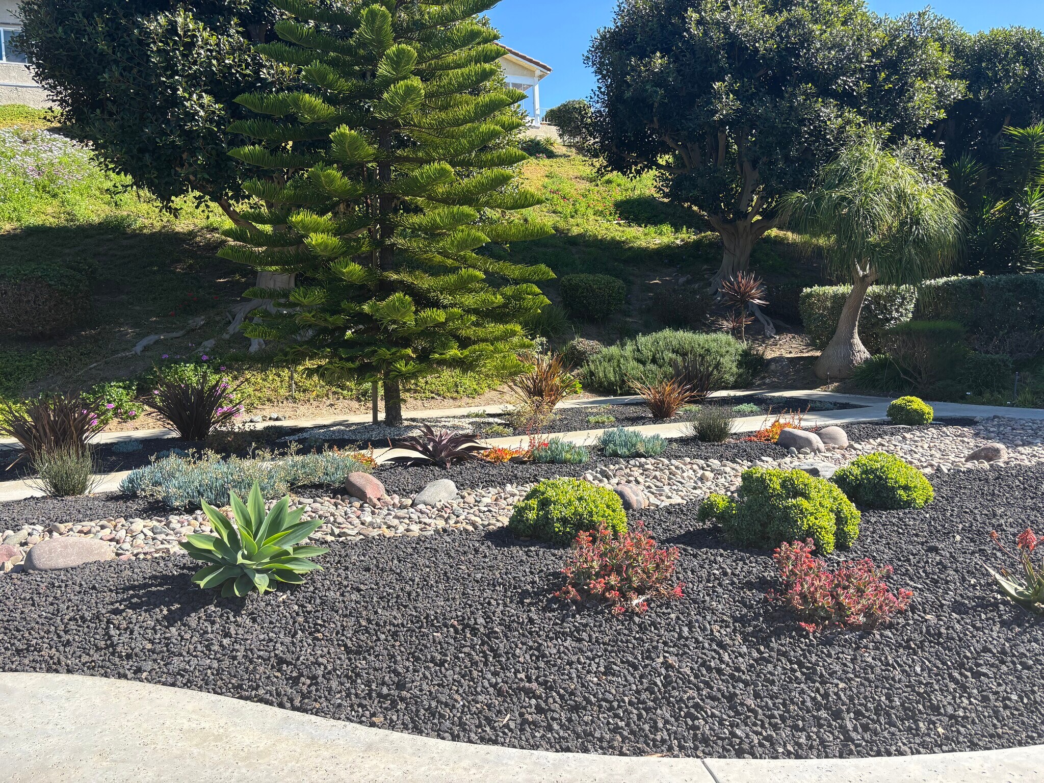 Building Photo - 2010 W San Marcos Blvd