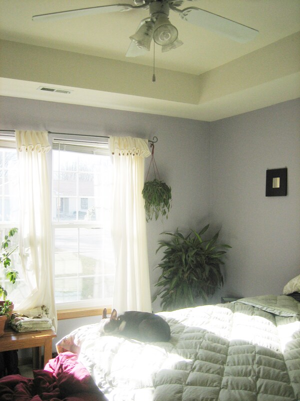 Building Photo - 847 Locust St