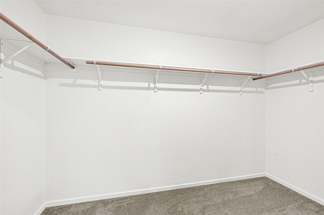 Building Photo - 2608 Shady Cedar Ct