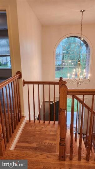 Building Photo - 4018 Tiber Falls Dr