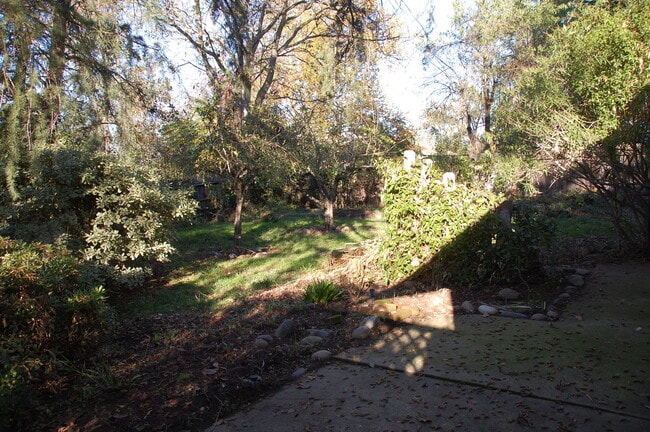 Building Photo - Great 1 bedroom 1 bathroom cottage on wood...