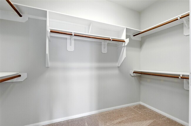 Building Photo - 29650 Yaupon Shore Dr