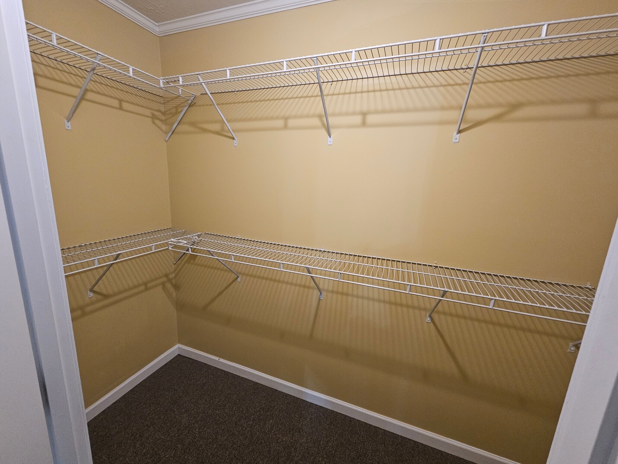 Building Photo - 1346 Sandy Ridge Way NE