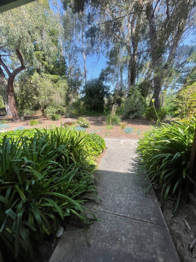 Building Photo - Beautiful Capitola Condo minutes from Capitola Village!