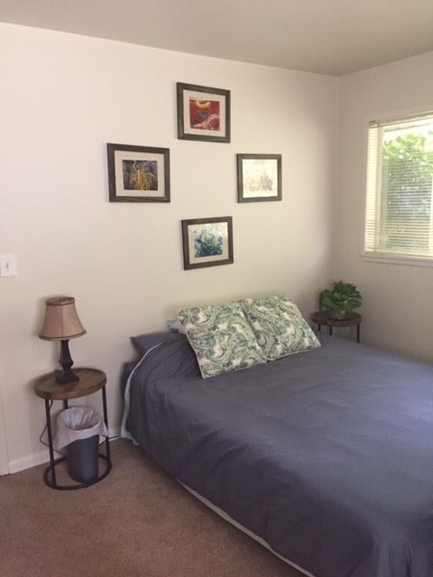 Building Photo - Classic Northgate Rambler