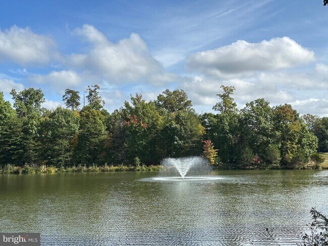 Building Photo - 1701 Lake Shore Crest Dr