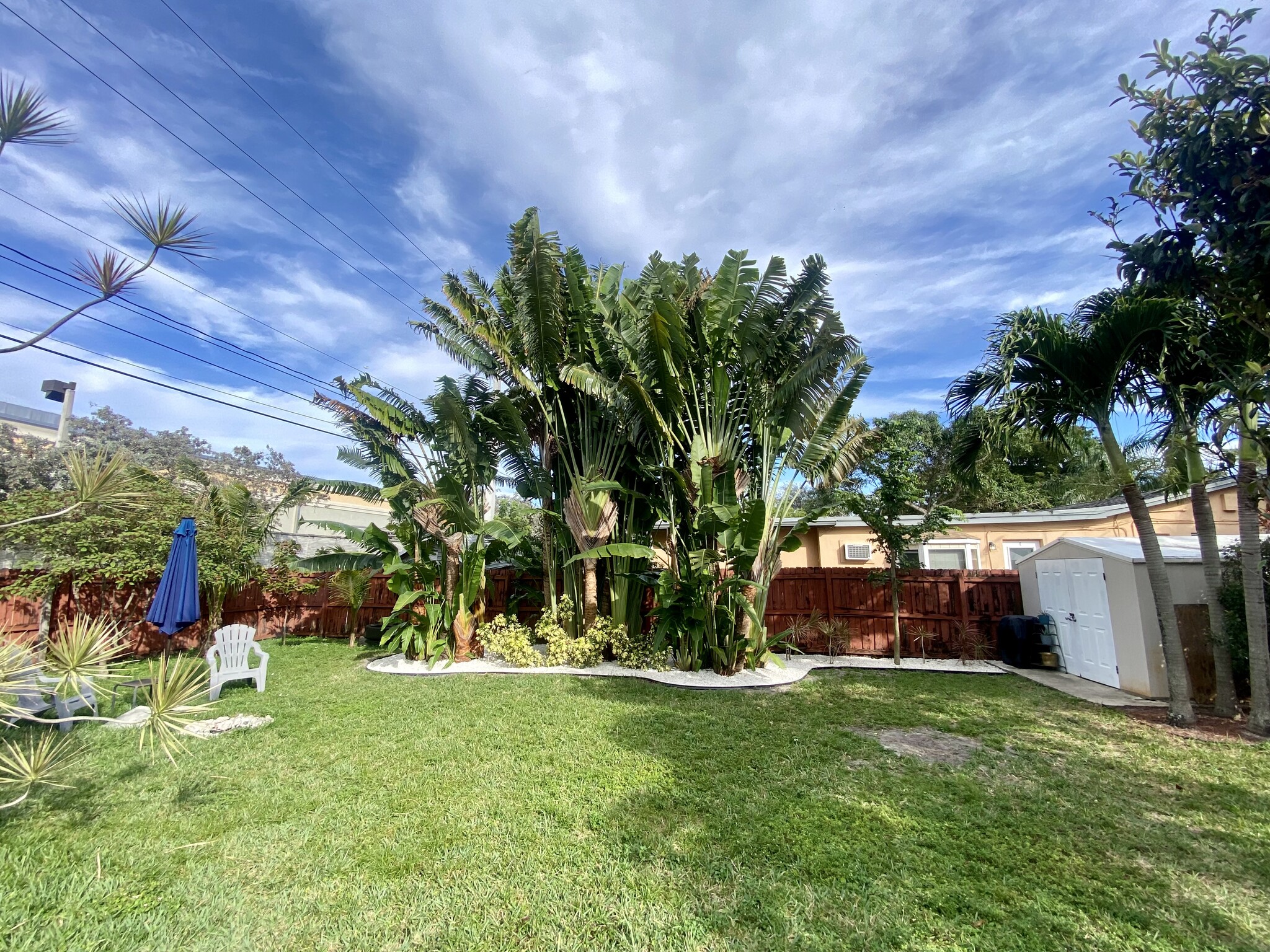 Backyard - 1631 Liberty St