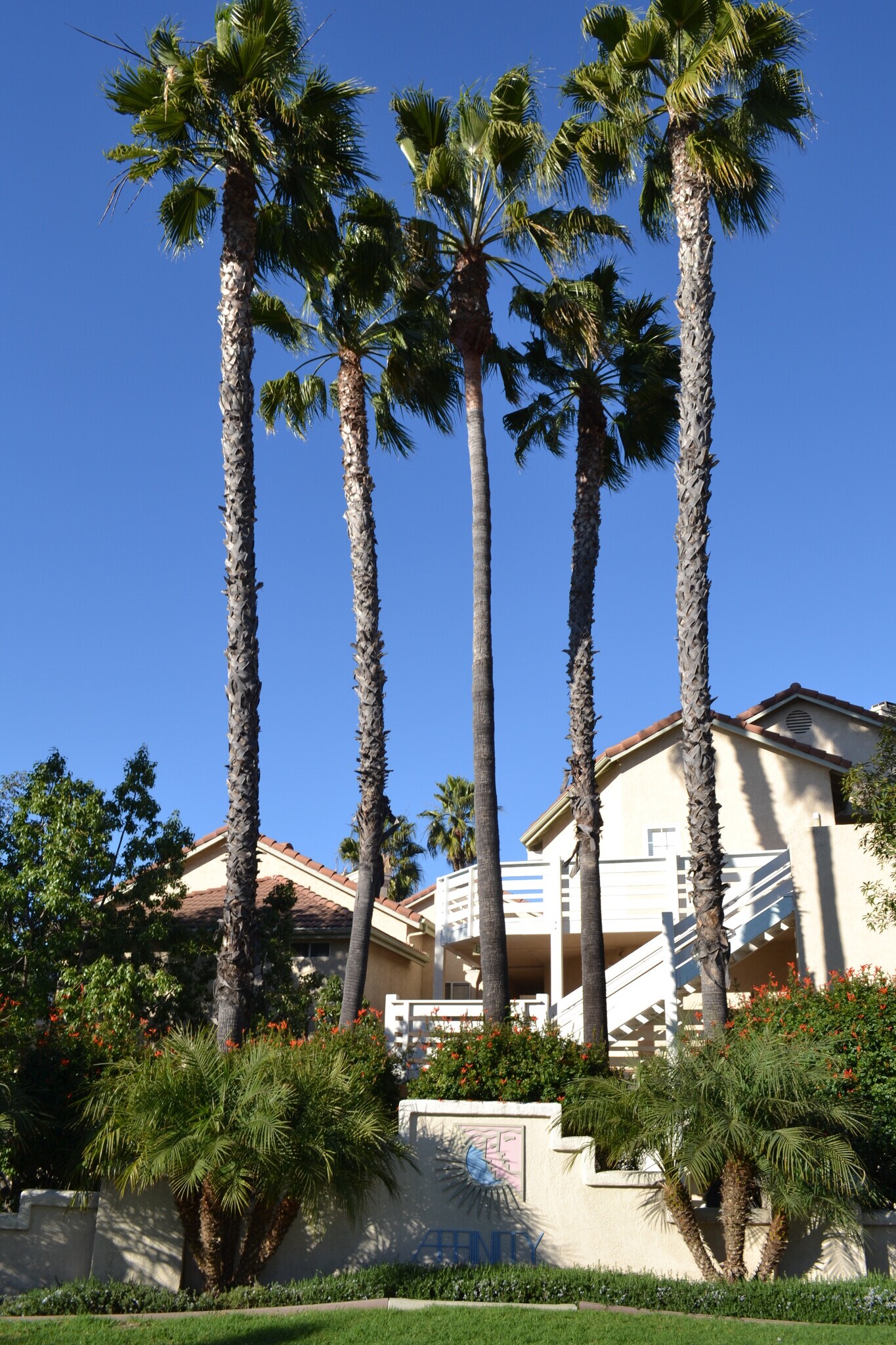 Affinity Ct - 11235 Affinity Ct