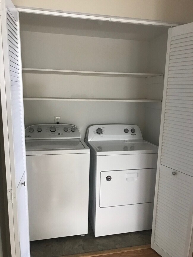 Building Photo - 3635 Maple Glenn Ln