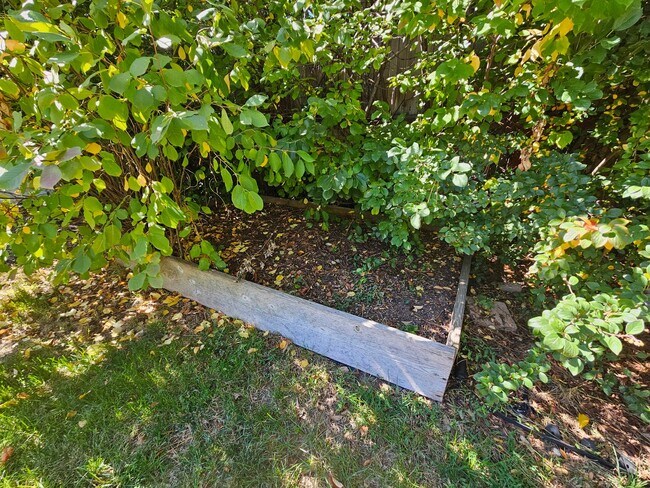 Building Photo - Virginia Village 4 Bed 3 Baths Large Yard Attached Garage Super Spacious!