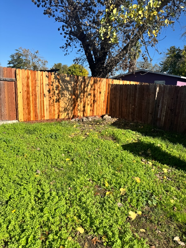 Building Photo - 1161 Acacia Ave