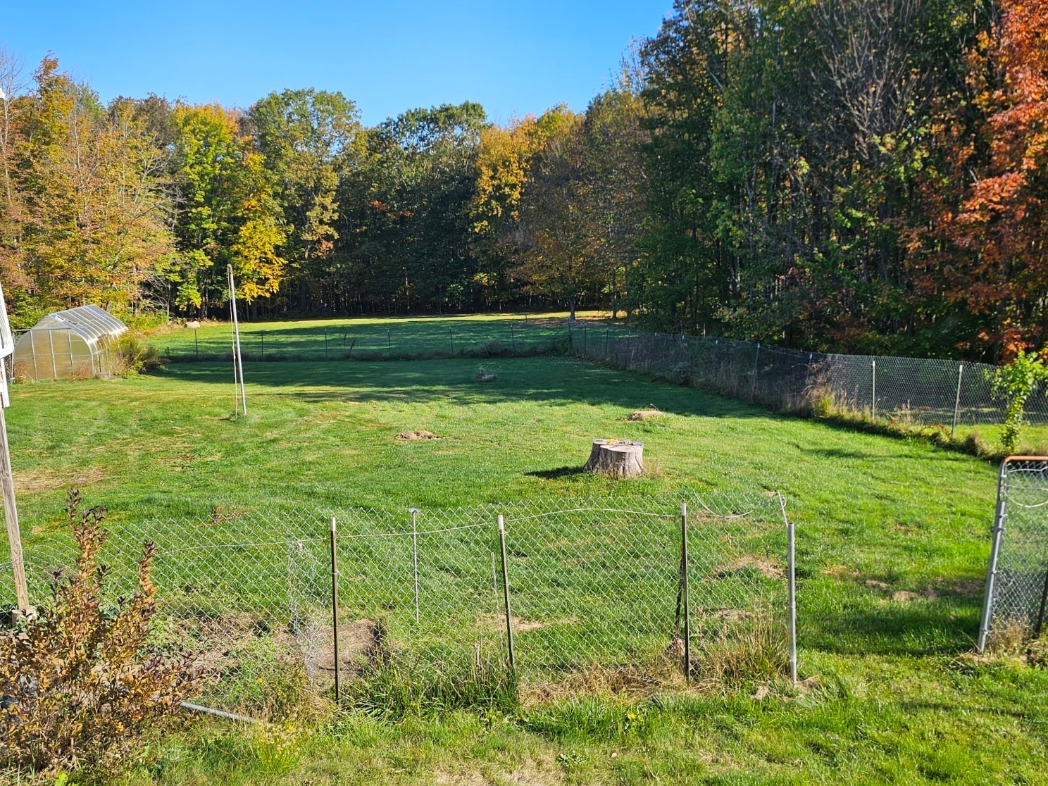 Back Yard - 585 High St