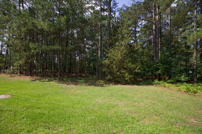 Building Photo - Beautiful 3 bedroom home in Woodlake