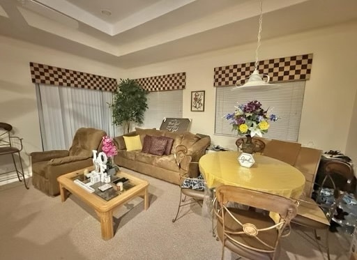 Living / Dining 1 - 8356 Mulligan Cir