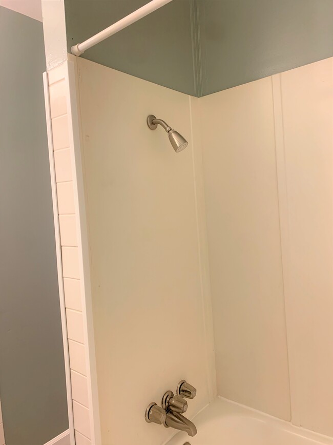 2nd bathroom - 1135 W 41st St, 1E