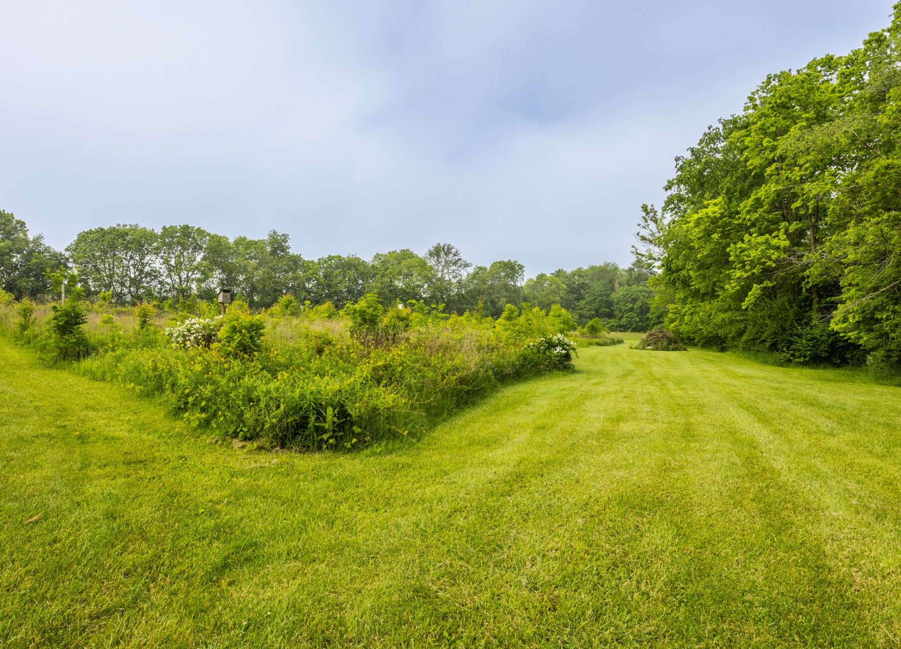 Building Photo - 1820 N 1100 E