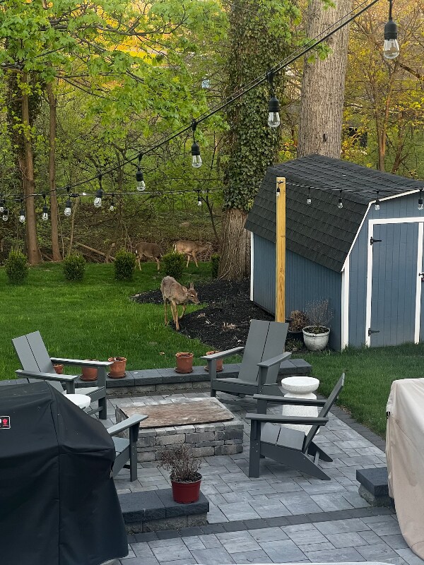 Building Photo - 125 Hamilton St