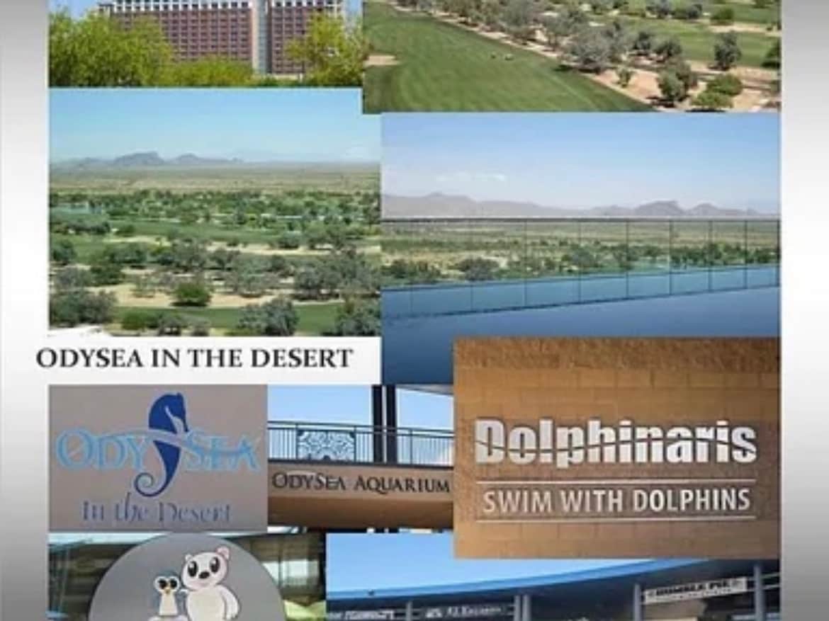 Building Photo - 9196 N 103rd Pl