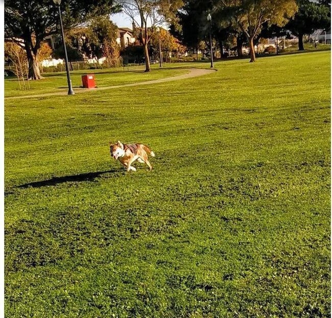 Building Photo - Bright Richmond home with space, character, and everyday ease