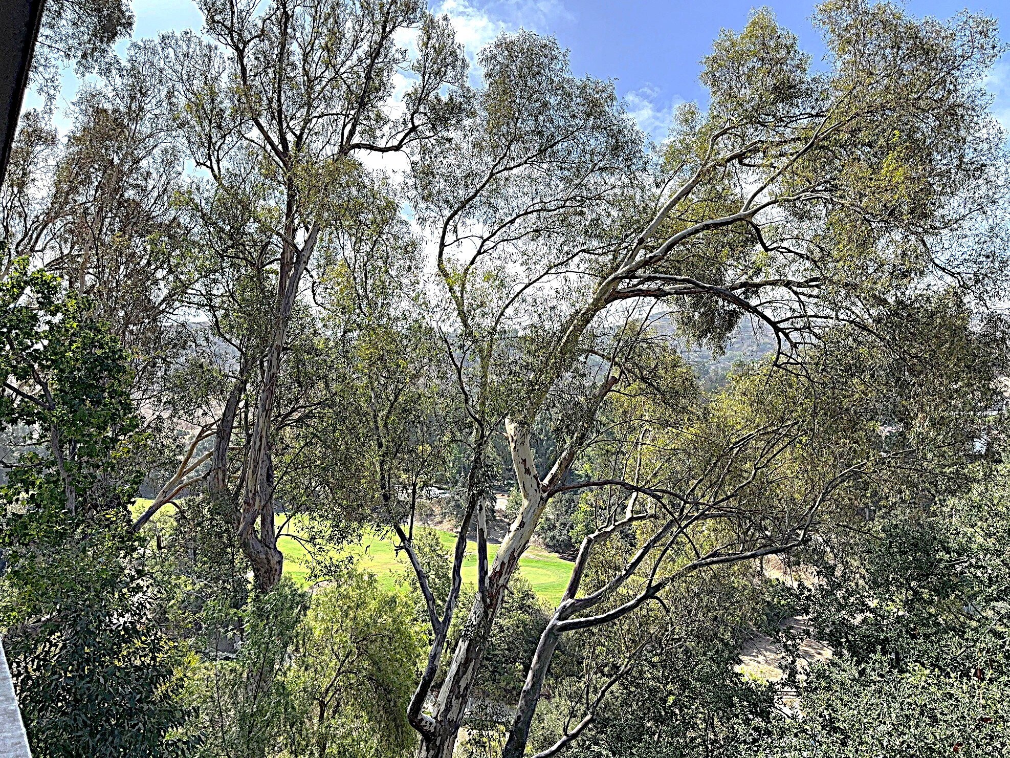 Building Photo - 545 S Ranch View Cir