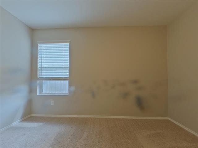 Building Photo - 11832 Mancos Trl