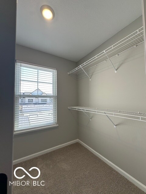 Building Photo - 17458 Ebling Trl