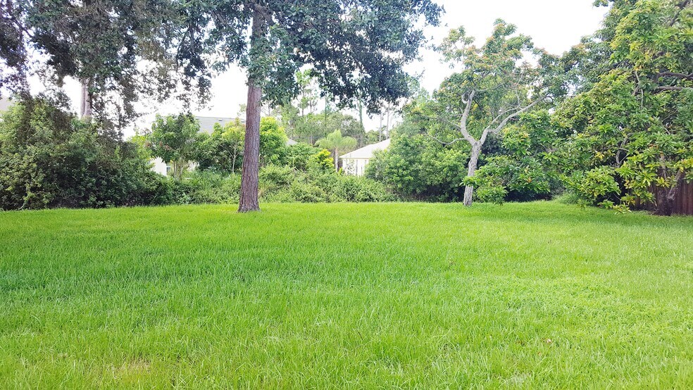 Backyard - 1626 SW Bascom Ave