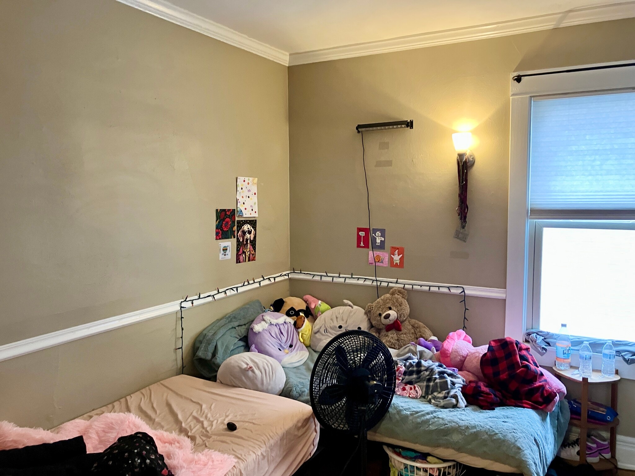 Building Photo - 67 Olcott Ave