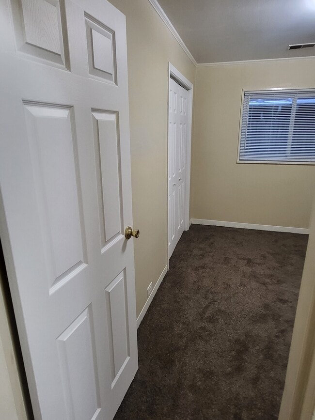 Building Photo - 517 Lakewood Blvd