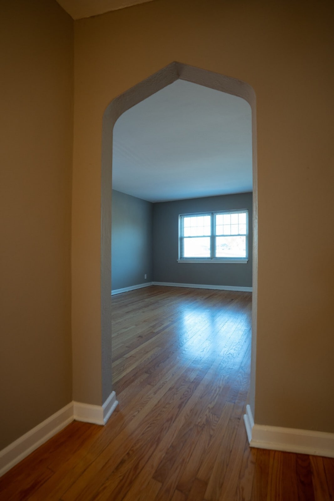 Living room has natural light from large windows - 5608 Chippewa St