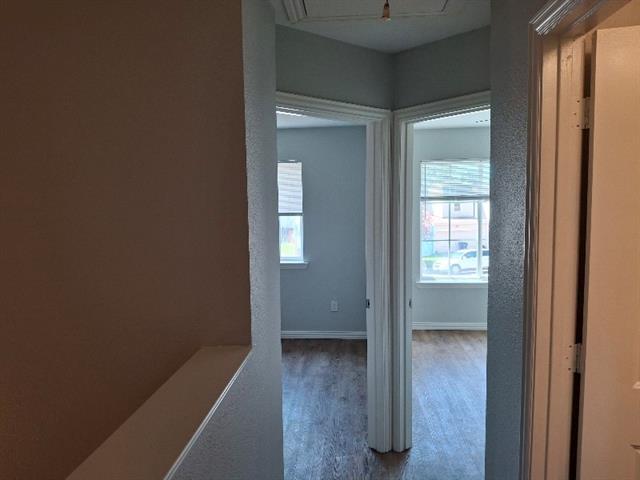 Building Photo - 4506 Alamosa St