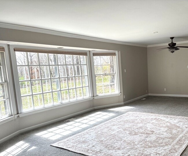 Building Photo - 234 Lackey Ln