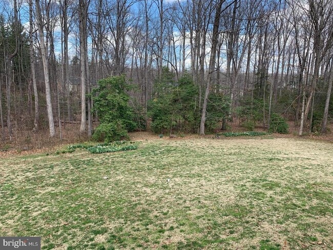 Building Photo - 63 Lincoln Dr