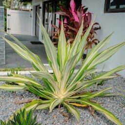 Building Photo - 2506 Bimini Ln