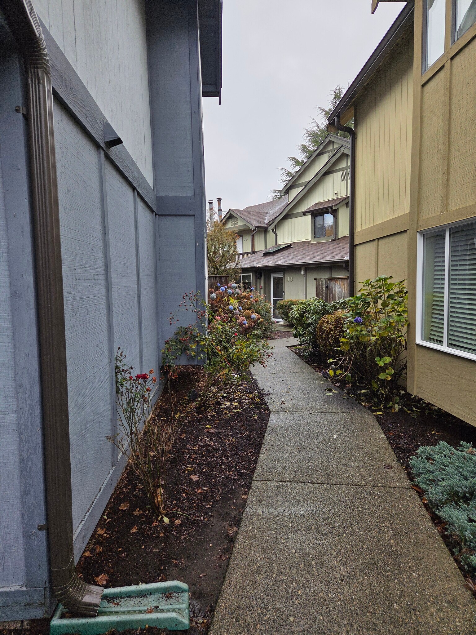 In spring this is full of blooms / gardner service - 220 Israel Rd SW