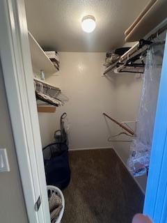 Building Photo - 12212 N Paradise Vlg Pkwy S