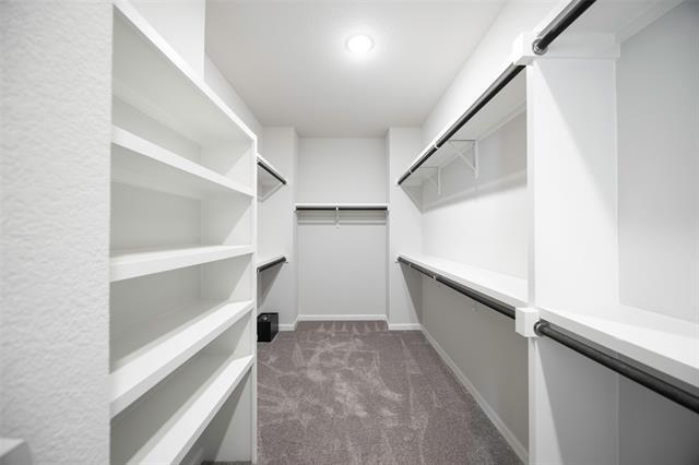 Building Photo - 7109 Mistflower Ln.