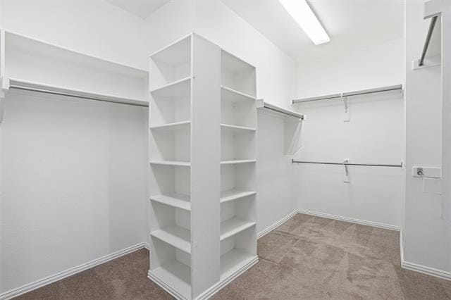 Building Photo - 2013 Chessington Ln