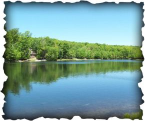 Building Photo - 368 Upper Wild Acrs Dr