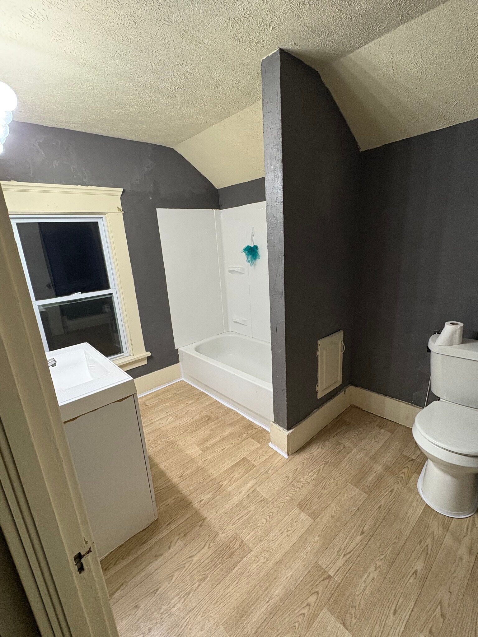 Bathroom - 1101 Garfield Ave SW