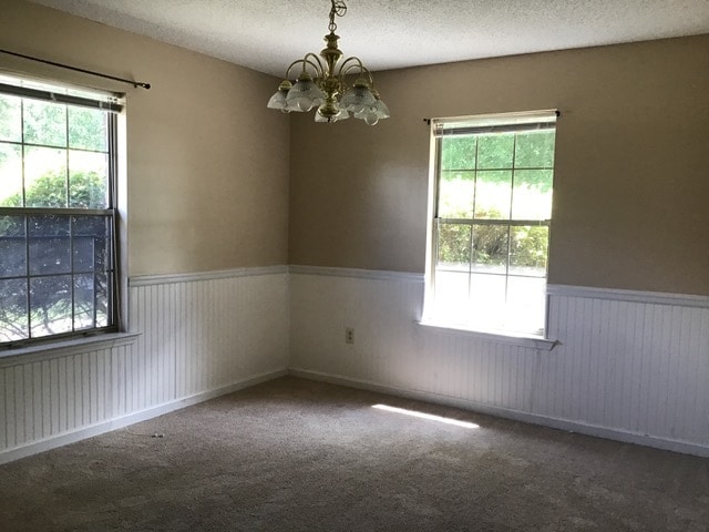 Building Photo - 907 Canyon Ct