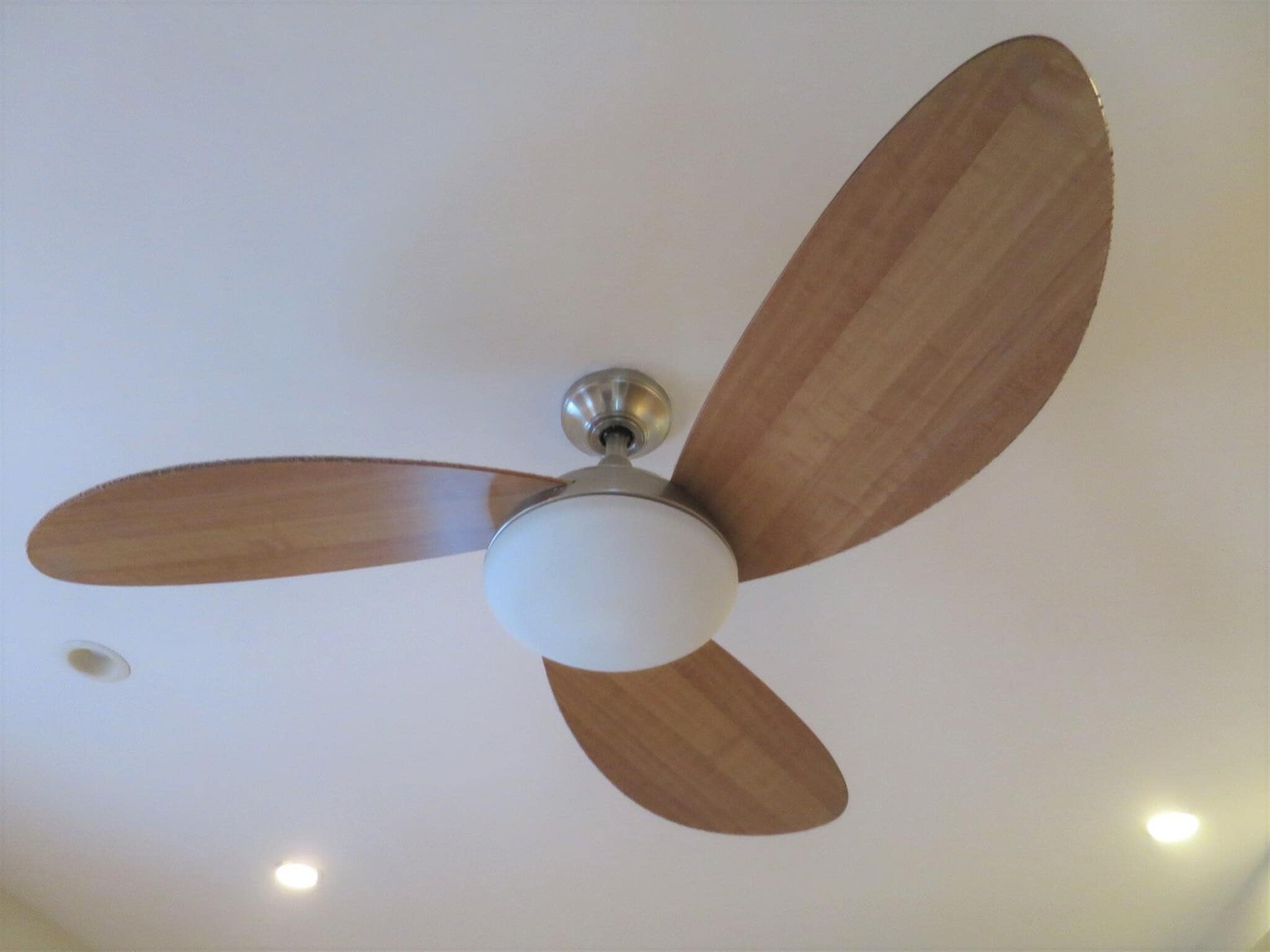 Building Photo - 7 Wareham St