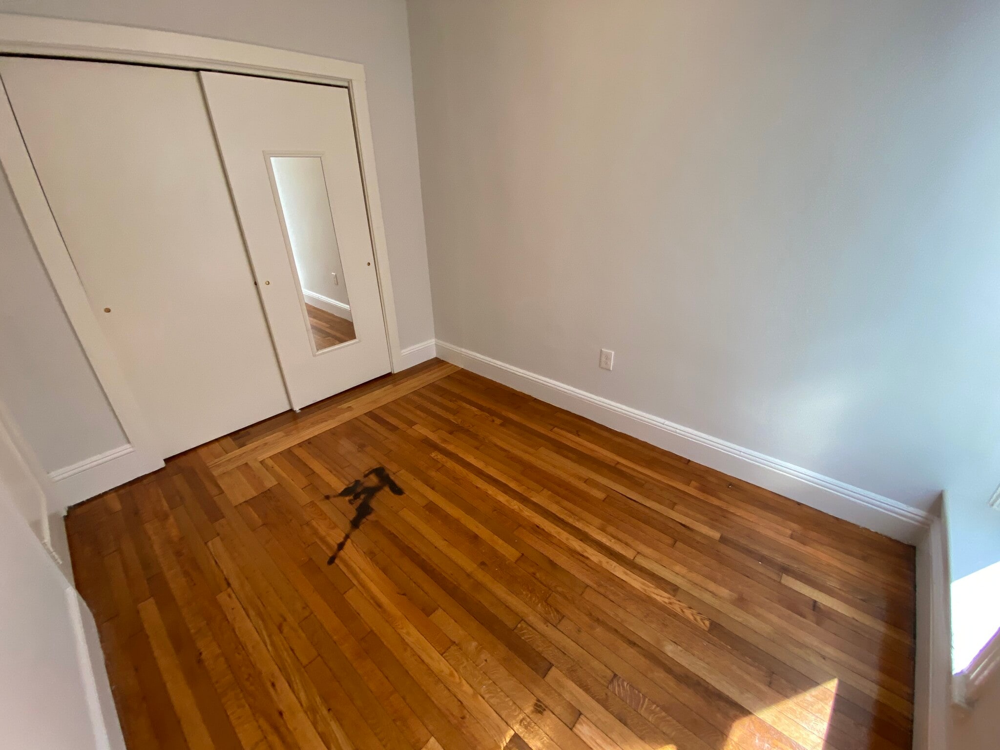 Building Photo - 29 Worthington St