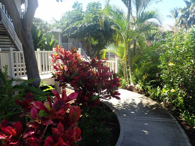 Building Photo - Spacious Furnished Grand Champions End Unit Available