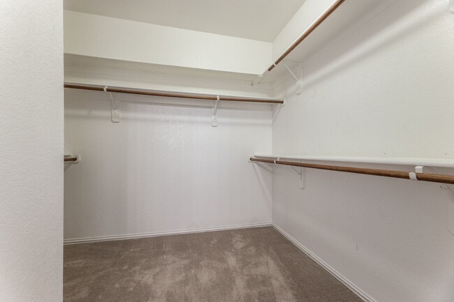 Building Photo - 12044 Ringtail Dr