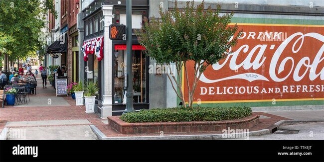 Building Photo - 537 Stillwood Dr