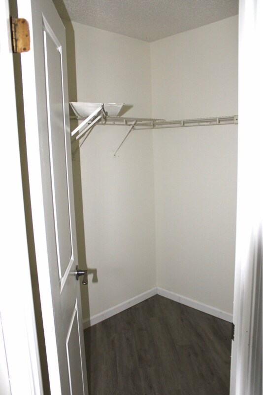 Building Photo - 3747 Donovan Dr